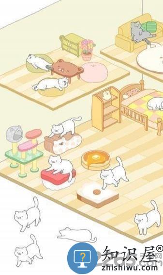 猫真可爱手机版下载v2.2.3 安卓版
