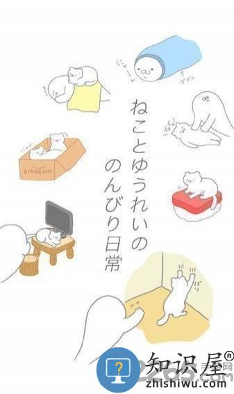 猫真可爱手机版下载v2.2.3 安卓版