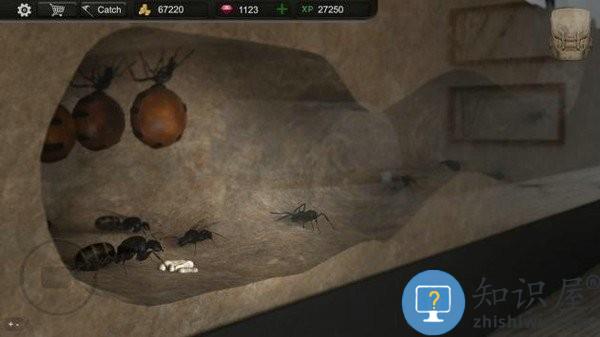 蚂蚁模拟大亨中文版下载v2.9.967 安卓版