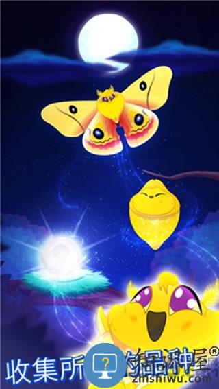 彩翼之星夜安卓破解版下载v2.244 安卓版