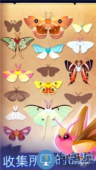 彩翼之星夜安卓破解版下载v2.244 安卓版