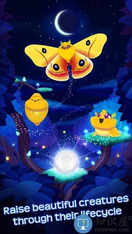 蝴蝶之星夜中文版下载v2.244 安卓版