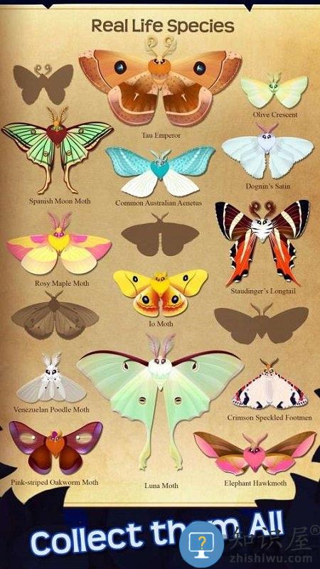 蝴蝶之星夜中文版下载v2.244 安卓版