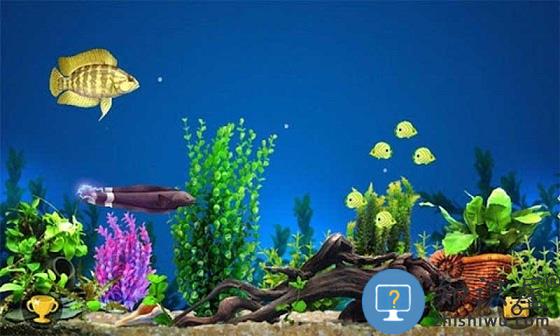 3d大鱼吃小鱼手机版下载v1.0.41 安卓版