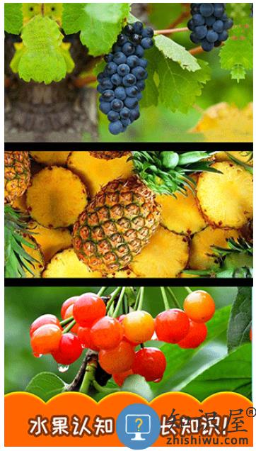 宝宝切水果下载v3.5 安卓版