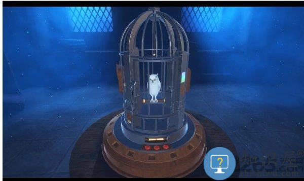 鸟笼2手机版下载v1.0.7703 安卓中文版