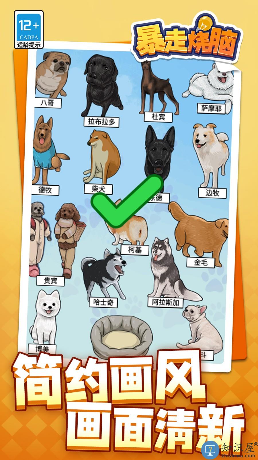 暴走烧脑下载v1.1.9 安卓版