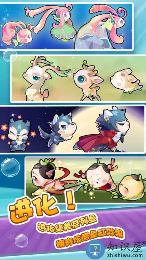 开心水族箱下载v12.6.440 安卓版