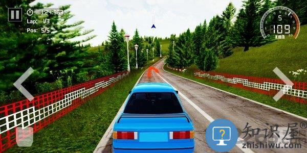 最终拉力赛游戏下载v1.10 安卓最新版