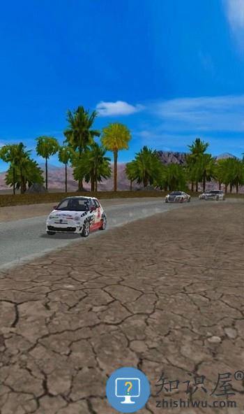 极速拉力赛车游戏下载v1.10 安卓版