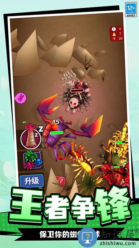 蛛蛛历险记下载v1.1.2 安卓版