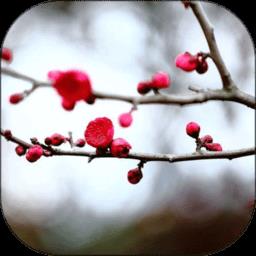 梅花易数笔记app手机版下载v1.5.4 安卓版