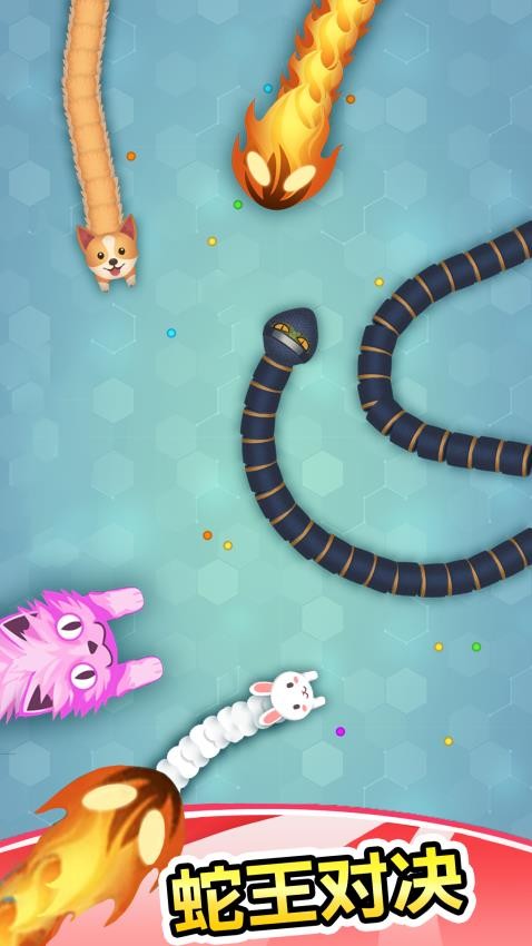 迷你贪吃蛇下载v1.1 安卓版