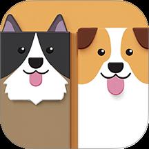 N边形拼图下载v1.0.0 安卓版